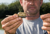 Matrix Koszyk Maggot Feeder Small 15g