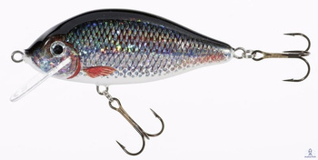 Jaxon Wobler Holo Select Karaś 7,5cm/13g P