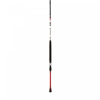 Penn Wędka Squadron II Boat 2,10m 60-200g