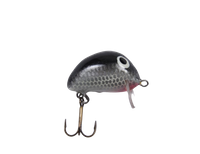 Assan Wobler TRAIL 15 2,5cm 2g