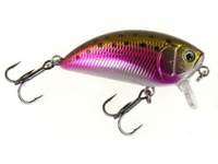 Wobler DAM Effzett Pro-Lite Shallow Crank 4cm Rainbow Trout