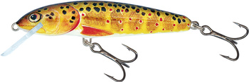 Salmo Wobler Minnow 6cm Trout