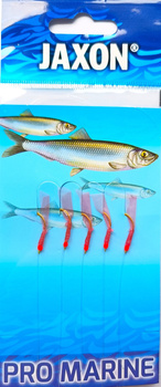 Jaxon Zestaw Śledziowy AJ-M13B Przywieszka Morska