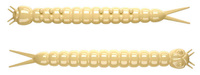Libra Lures Guma 3,8cm Slight Worm 38 - 005 Cheese - Krill
