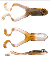 Spro Iris The Frog 12cm 20g Brown Frog