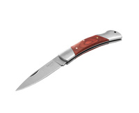 Delphin Scyzoryk Campy 9,5cm